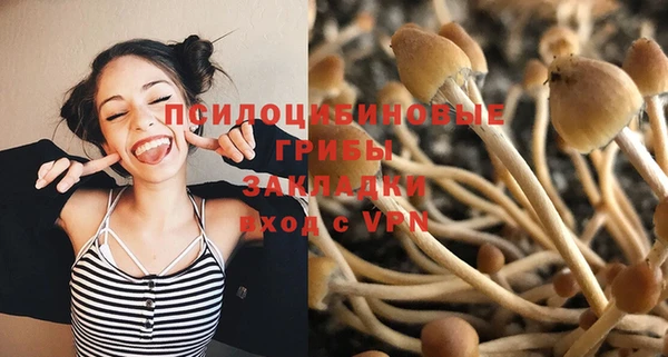 apvp Балабаново